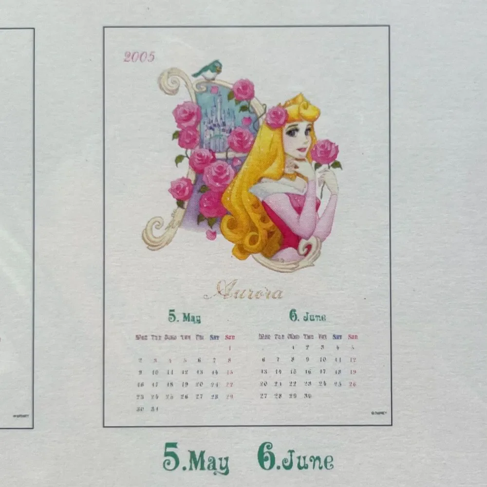 Disney Princess Calender Ariel Belle Watercolor 70s Heroine Manga Vintage 2005